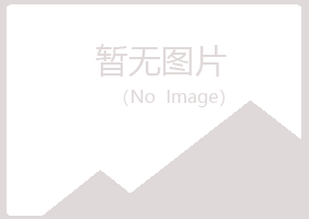 广安雅山化学有限公司